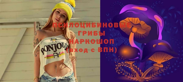 хмурый Снежногорск