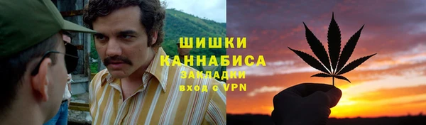спайс Арсеньев
