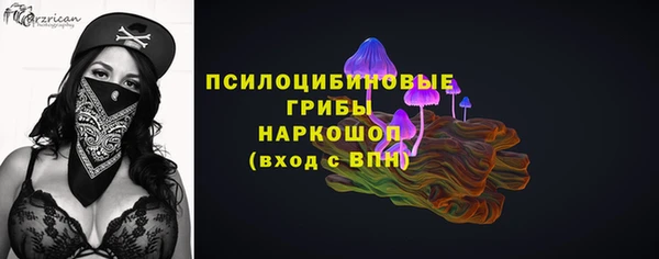 ГАЛЛЮЦИНОГЕННЫЕ ГРИБЫ Алзамай
